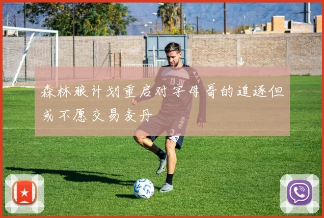 森林狼计划重启对字母哥的追逐但或不愿交易麦丹